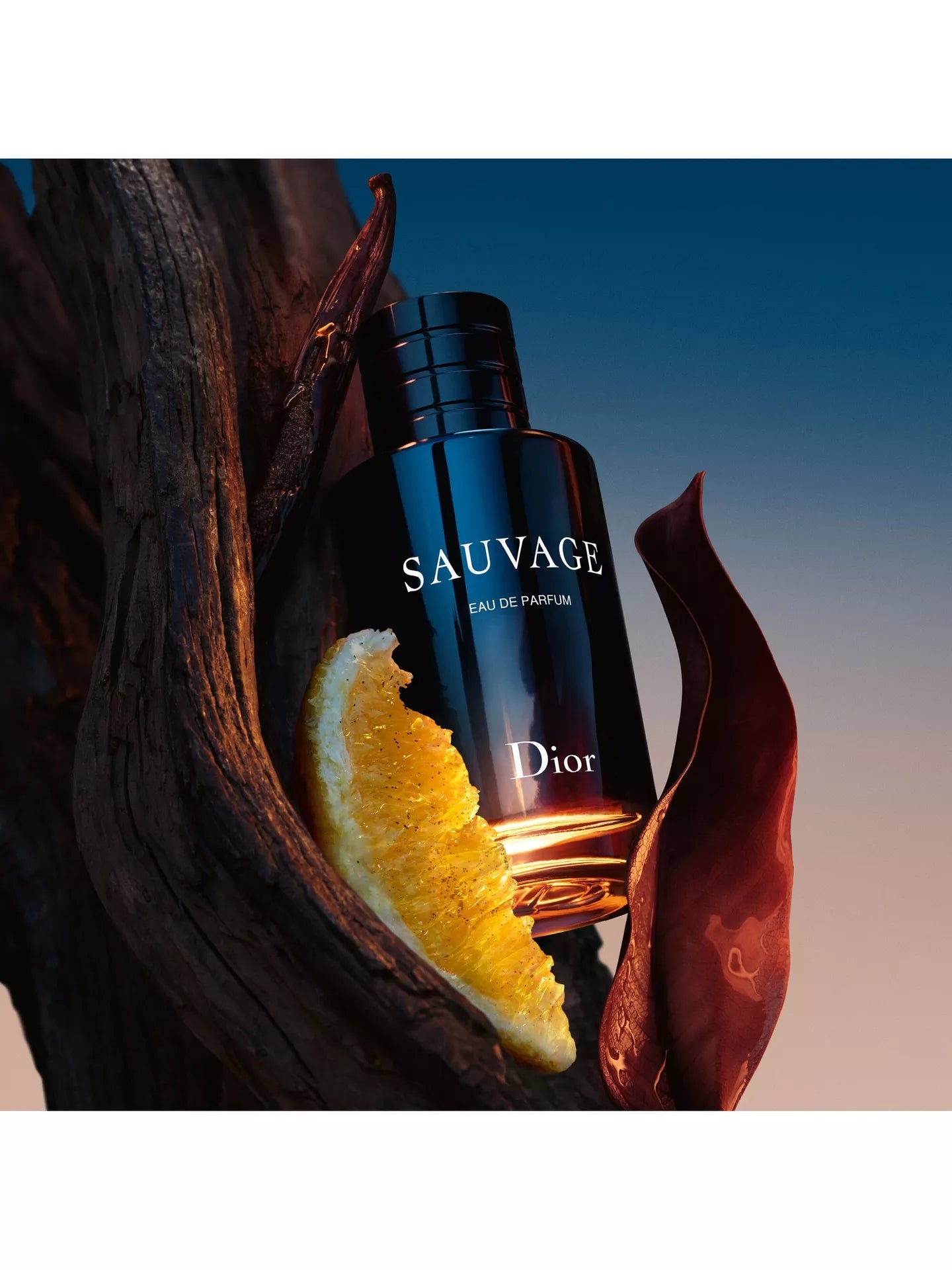 DIOR Sauvage Eau de Parfum