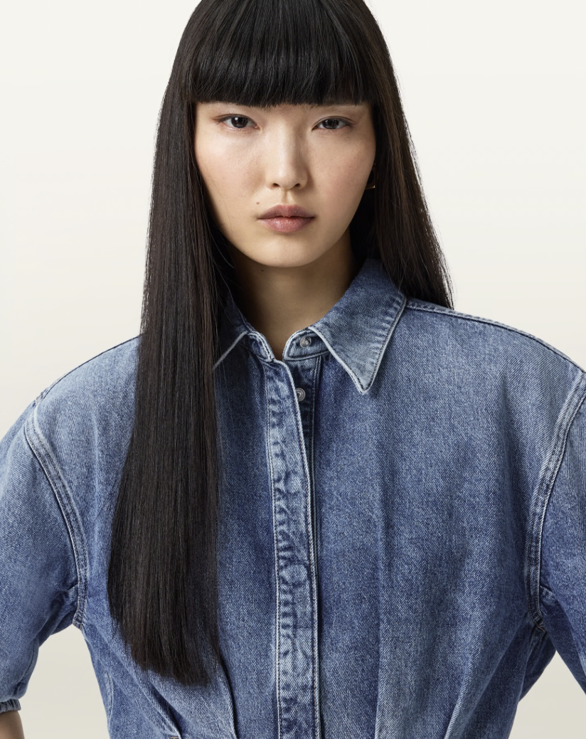 AllSaints Nancy Balloon Sleeved Shirt