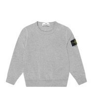 Load image into Gallery viewer, STONE ISLAND Junior Logo Sweatshirt
